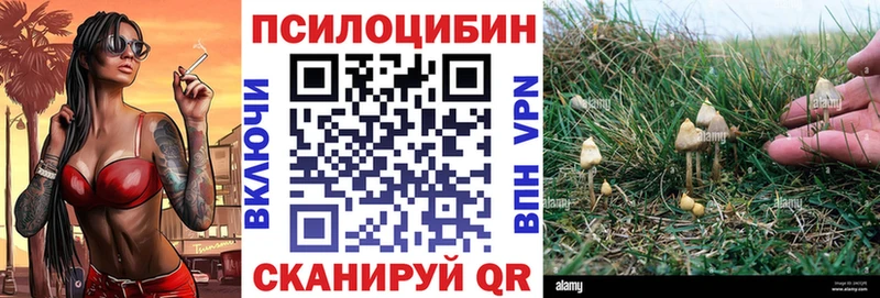 наркошоп Александров Галлюциногенные грибы Psilocybe
